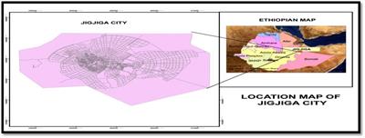 Prevalence of occupational injuries and associated factors among solid waste collectors in Jigjiga city, eastern Ethiopia: a cross-sectional study design